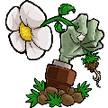 植物大战僵尸江南版